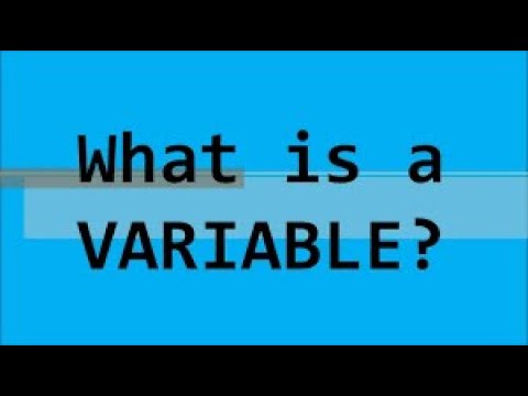 Understanding Variables in Programming: A Beginner's Guide - YouTube