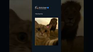 Kurabiye Var Simit Var Neye Bakıyon