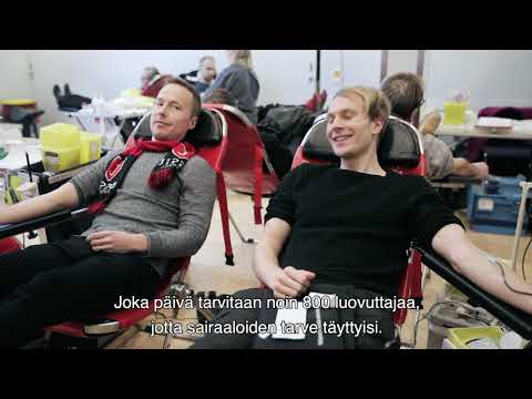 Video: Kuinka luovuttaa verta: 14 vaihetta (kuvilla)