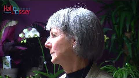 Deze film gaat over het het bestaan van 40 jaar Elsjan de bloemenwinkel van Losser