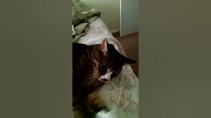 Scooter talking to me
