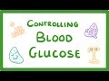 Gcse biology  control of blood glucose concentration  56