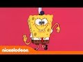 Bob Esponja | Cocina con música | Nickelodeon en Español