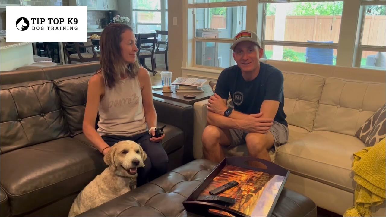 dog-training-boise-tip-top-k9-reviews-youtube