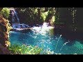 4K Hike to Blue Pool, Oregon, and Waterfall, 1 Hour, Forest, River