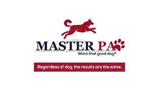 Regardless of dog Results are the same-MasterPaw! | Dog Training Course |™MasterPaw Official by MasterPaw 680 views 5 years ago 1 minute, 6 seconds