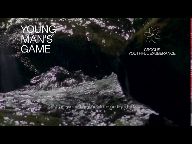 Fleet Foxes - "Young Man's Game" (Lyric Video)