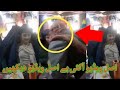 Pathani Larki Aur Dokandar Ki Pori Video Samne Aa Gye Geo Saraiki Pathani Larki Aur Dokandar Ki Pori Video Samne Aa Gye Geo Saraiki