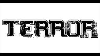 Terror - What I Despise
