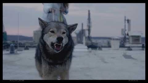 『ワイルド わたしの中の獣』撮影シーン