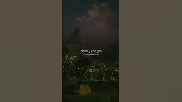 تملي معاك عمرو دياب 
