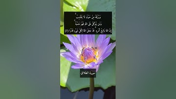 آية "ومن يتوكل على الله فهو حسبه" من سورة الطلاق مكررة نصف ساعة | اسمعها بنية التوكل على الله