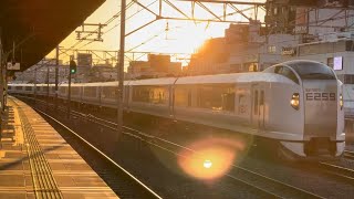 E259系ｸﾗNe001編成（トップナンバー・新塗装）＋ｸﾗNe004編成（旧塗装）が夕陽の中平井駅を通過するシーン（2023.11.14.16:10）