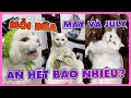 Mỗi bữa May và July ăn hết bao lâu? | maly.gaugau