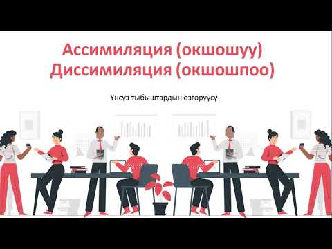 9-сабак  Ассимилияция  Диссимиляция