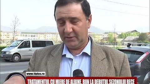TRATAMENTUL CU MIERE DE ALBINE, BUN LA DEBUTUL