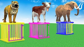 Cow Elephant Gorilla Dinosaur Choose The Right Iron Cage EAT FRUITS CHALLENGE Wild Animals Game