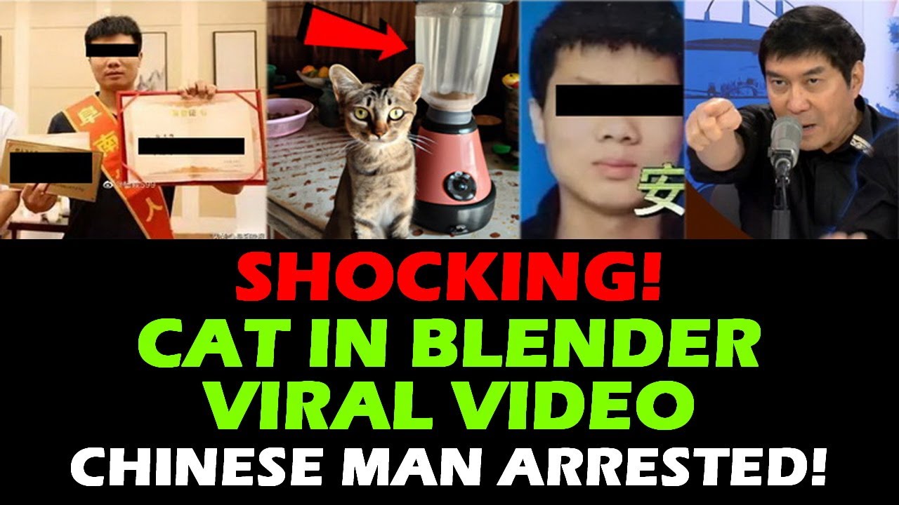 CAT IN BLENDER VIDEO TWITTER FULL VIDEO CHINESE MAN ARRESTED! RAFFY