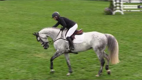 Video of DALI DE VY ridden by CHELSEA MOSS from Sh...