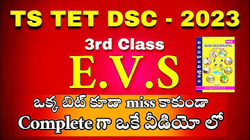 3rd class #E.V.S#tet#dsc#