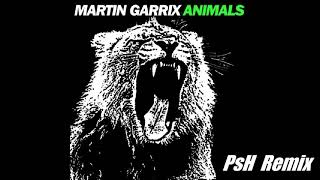 Martin Garrix - Animals ( Psh Remix 2021 )