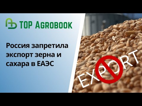 Россия запретила экспорт зерна и сахара в ЕАЭС. TOP Agrobook: обзор аграрных новостей