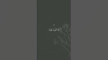 تلاوة تأخذك إلى عالم آخر بصوت الشيخ ماهر المعيقلي  #ماهر_المعيقلي