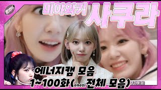 아이즈원 사쿠라 에너지캠 1~100화 전체모음(all izone  Miyawaki Sakura enozicam,   みやわき さくら enozicam)