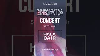 Breskvica - Najava koncerta u Nišu (Hala Čair 08.12.2023) #shorts #viral