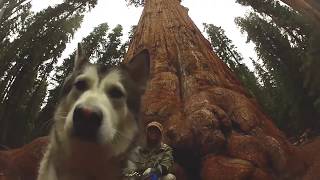 Trippy Mountains _ Jack Snare(Original Mix)