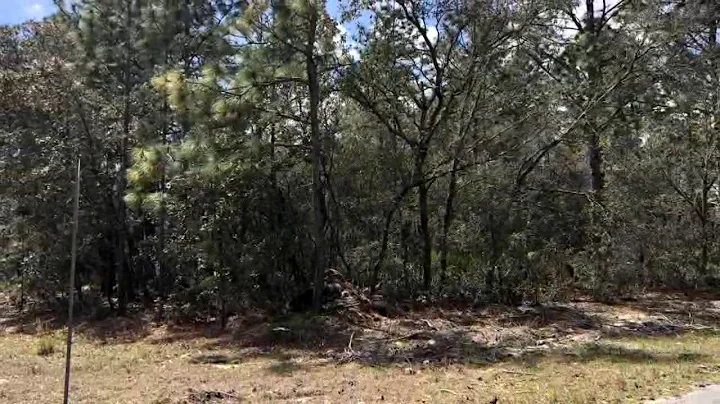 Lots And Land for sale - 9206 N Solomon Way, Citru...