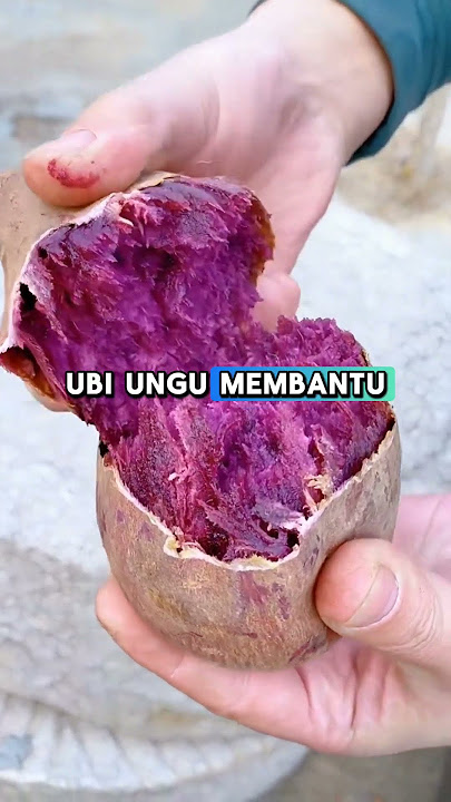 benefits for duku