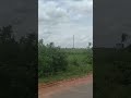 #karalapadu #piduguralla #thummalacheruvu #shorts #ytshorts #karempudi #guntur