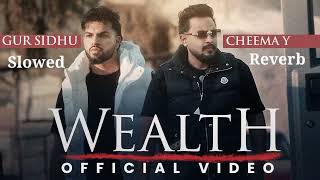 WEALTH (Slowed Reverb Music) Cheema Y | Gur Sidhu | Punjabi Song | Dripster