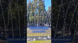 Иоганн Вольфганг Гете. Чувства