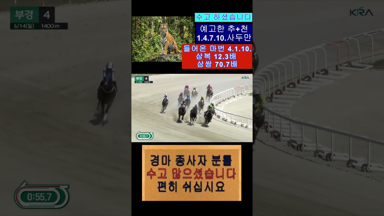 예고한 추+천 1.4.7.10.사두만 들어온 마번 4.1.10.영상보기