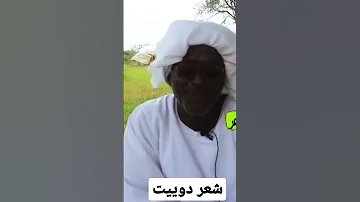 دوبيت من بادية كردفان 