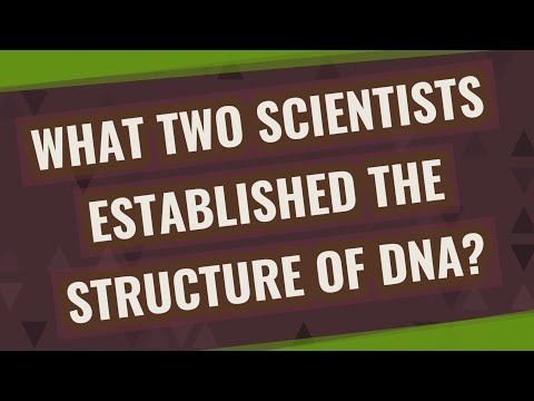 Vídeo: Quais são os dois cientistas que estabeleceram a estrutura da resposta do DNA?