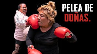 EL REY DE LAS BROMAS echo a pelear a Doña Potra y Lady Demandas‼️