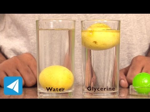 Lemon Sinks In Water But Floats On Glycerine Density Physics