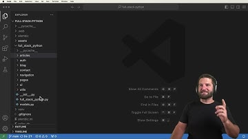 Курс по Reflex Python (на русском языке)