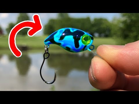 MICRO Crankbait Catches a MONSTER!!! - You WON'T Believe What I Caught! 