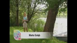 Olsztyn Aktywnie Tvp Olsztyn 5-8.07.2012