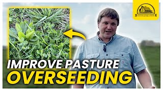 How to Improve Pasture Productivity Easily: Overseeding the Red Field
