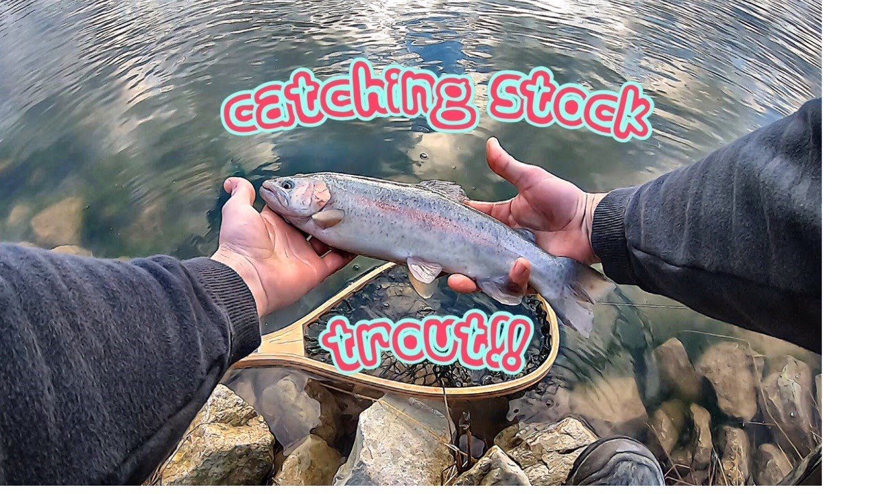 Stock Trout Slaying! (catch a GHOST TROUT!)