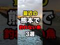最近の熊本で釣れていない魚3選#釣り #shorts
