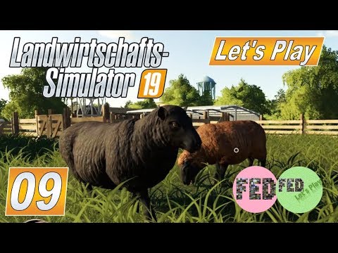 ls19lt LS19 #09 Die armen Schafe werden vernachlässigt # Multiplayer mit Shelly #Landwirtschaft Simulator