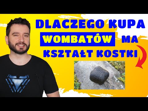 Wideo: Dlaczego Kupa Wombat Ma Kształt Sześcianu