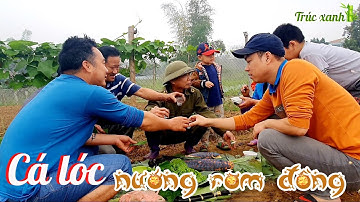 Cá lóc nướng rơm đồng ngon chà bá| Trúc xanh TV