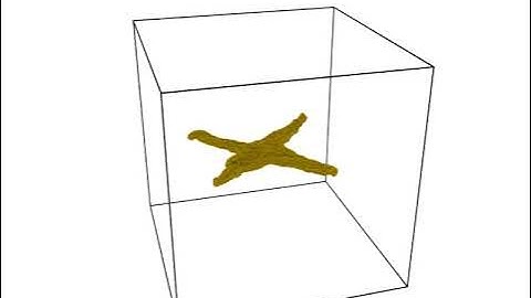 Square  Polymer Network collapsing.